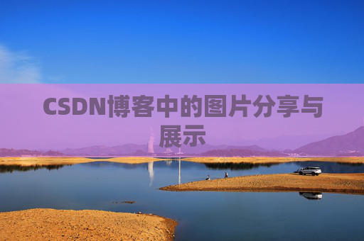 CSDN博客中的图片分享与展示